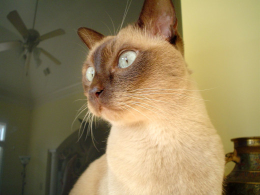 359772 (a): :1600x1200